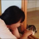 희섬정