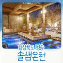 솔샘 유치원 | 청송 소노벨 겨울 솔샘온천 50%할인받는 방법이 뭐야?