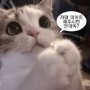 합정 이미지