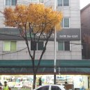에스마트정육 - 서구 신갈마로86번길 81 | 에스마트정육