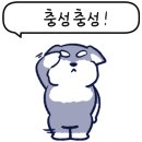 모모농장 이미지