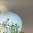 금빛가든 | 수원역 메리빌리아더프레스티지 가든홀(밝은홀) 본식 후기