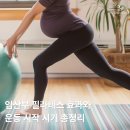 모템말길 21 | [과천 필라테스] 임산부 필라테스 효과와 운동 시작 시기 총정리