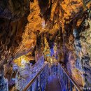 동해곤충농장 이미지