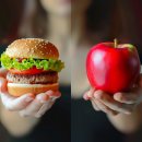 더쉐입PT 이미지