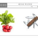 디자인피노미술학원