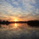 서호공원 이미지