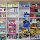 나무동물약국 이미지