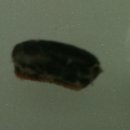 (주)에코원 이미지