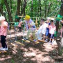 자연아 놀자 이미지