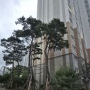상판경로당 이미지