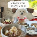 예정 | 남양주 팔당 애견동반 막국수 맛집 능내옥 후기