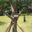 수원시 푸른 녹지사업소 이미지