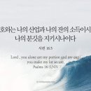 영흥라이브까페
