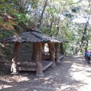 외씨버선길(치유의길) 이미지