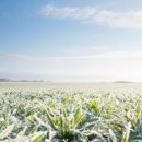 젬마의원 이미지