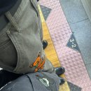 남영반점 | 에어비엔비 추천,대구 막창맛집 막삼가,선월만두반점 평일웨이팅🥟,대구전시 얼기설기 무늬의 규약,카페 핖