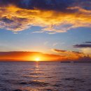 워터벨리 | 몰디브 벨리간두 리조트 워터빌라 해외여행 후기