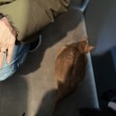 24시 글로리 동물병원 이미지