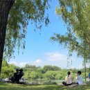 나무그늘 포토타임 이미지