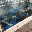 명가모텔 이미지