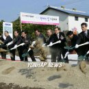 신효동-21 이미지