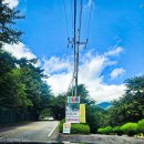 지리산반내골오토캠핑장 | [지리산365오토캠핑장]경남 산청 백색소음 가득한 지리산365오토캠핑장 방문후기!!
