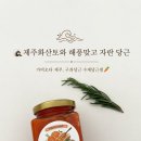 가비오타 | [수제잼 추천 🧡] 🏝️ 제주산 구좌당근으로 만들어 진하고 향긋한 당근잼 🥕, 가비오타 제주 수제당근잼 후기✨❕