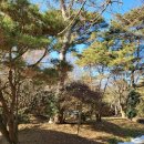 본당리마을회관 이미지