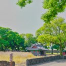 성읍리-23 이미지