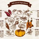 댕댕이애견 이미지