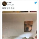 김밥주세요 이미지