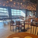 동백섬 | 스타벅스 해운대동백점 방문 + 건축가 특별전 ‘특별한 쉼표’ + 동백섬 트래킹 코스 후기