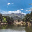 송림쉼터 이미지