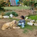 꽃피는산골스테이 이미지