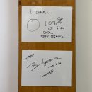 정 | 부여 맛집 식물카페, 다육이 카페 부여 다육정 후기