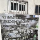 풍차호프