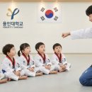 용인대삼성태권도장 이미지