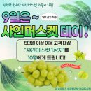 워시프렌즈황금