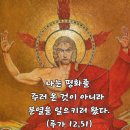 2026-10-22연중 제29주간 목요일＜나는 평화를 주러 온 것이 아니라 분열을 일으키러 왔다.＞ 이미지