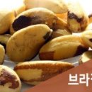 참좋은식품
