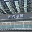 경주 뚜벅이 여행 / 경주루지 황리단길