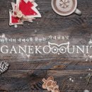 파노라마안경원 이미지