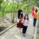 중국남쪽에서 온 여유학생,중국어 과외를 해 드리고 싶습니다 이미지