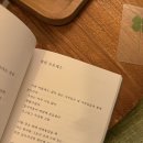 젊음이란 무엇인가? 하나의 꿈이다. 사랑이란 무엇인가? 꿈의 내용이다.