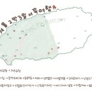 아빈스 티스토리