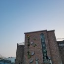 마구잡이횟집