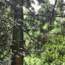 정승푸드 이미지