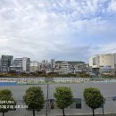 중앙동111 이미지