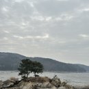배미꾸미민박 네이버블로그